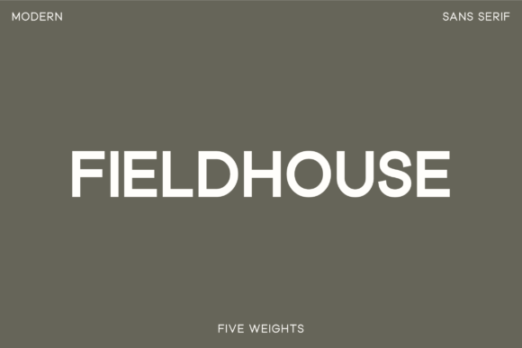 Fieldhouse: A Modern Sans Serif for Editorial Design