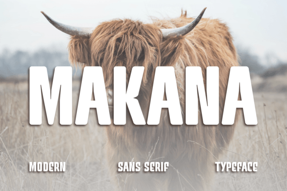 Makana: The Modern Sans Serif Font for Brands
