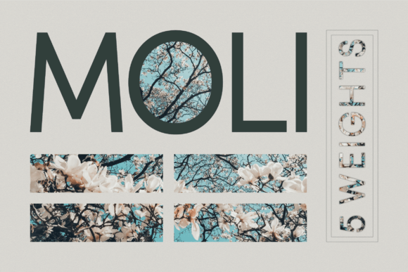 Moli: A Modern Sans Serif Font for Editorial Design