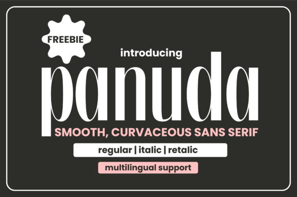 Panuda: A Distinctive Sans Serif Font for Web Design