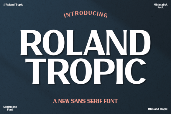 Roland Tropic: A Modern Sans Serif for Branding
