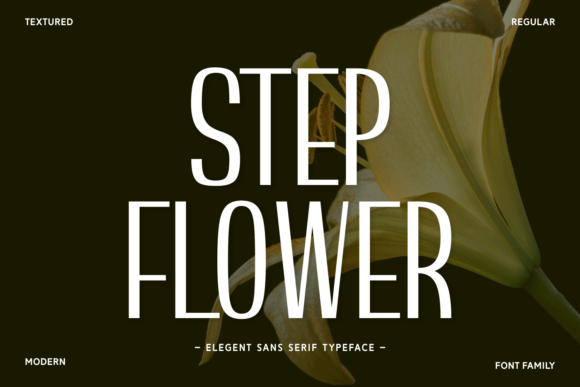 Step Flower: A Modern Sans Serif Font for Branding