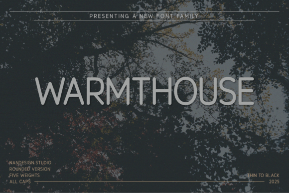 Warmthouse Rounded: A Modern Sans Serif for Editorial Design